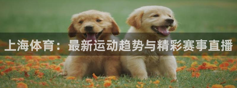 上海体育：最新运动趋势与精彩赛事直播