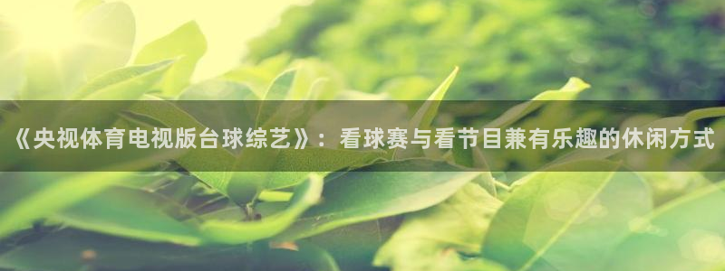 《央视体育电视版台球综艺》：看球赛与看节目兼有乐趣的休闲方式
