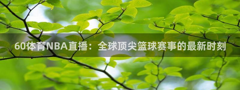 60体育NBA直播：全球顶尖篮球赛事的最新时刻