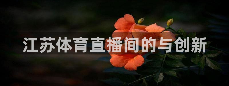 江苏体育直播间的与创新