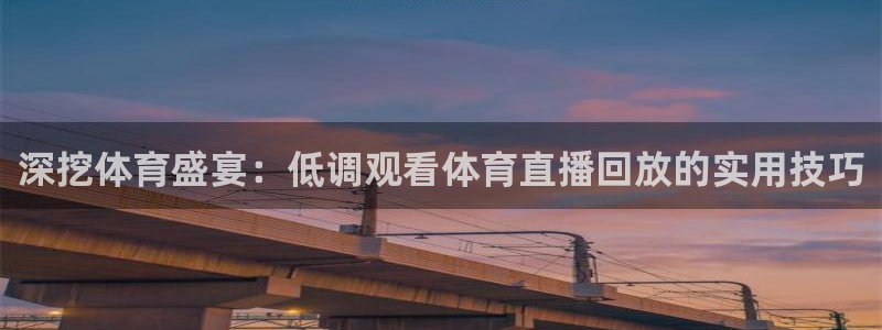 深挖体育盛宴：低调观看体育直播回放的实用技巧