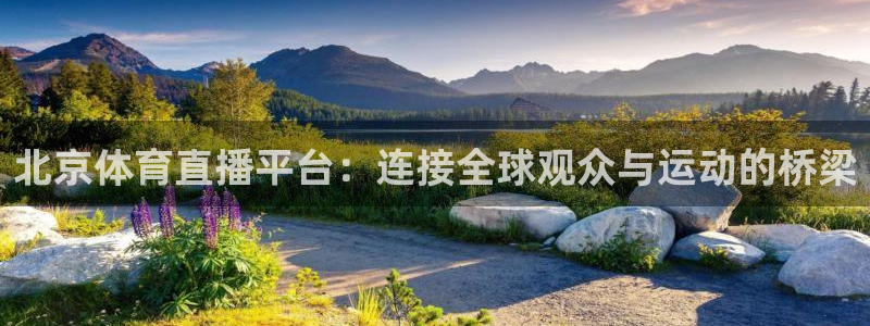 北京体育直播平台：连接全球观众与运动的桥梁