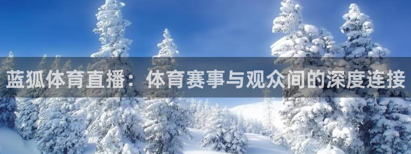 蓝狐体育直播：体育赛事与观众间的深度连接